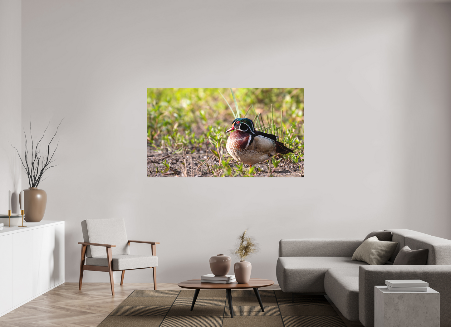 Balancing Wood Duck