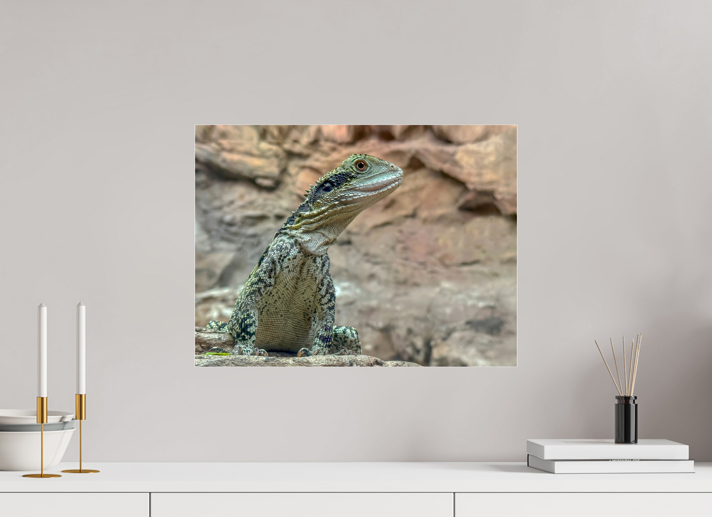 Water Dragon on Proud Rock