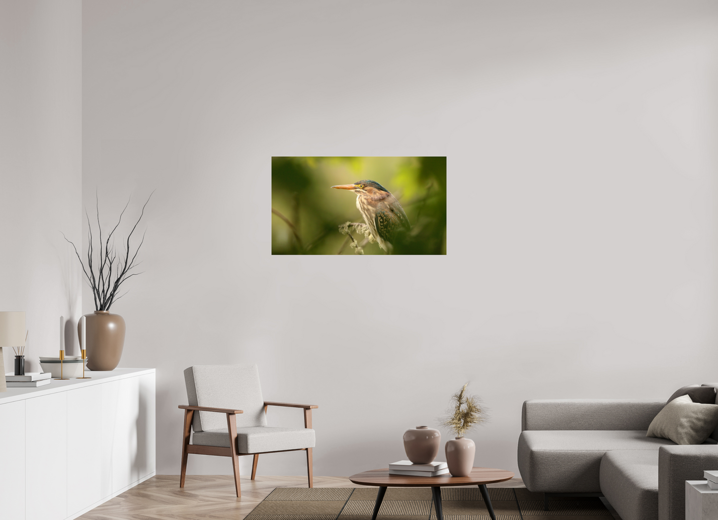Green Heron Profile