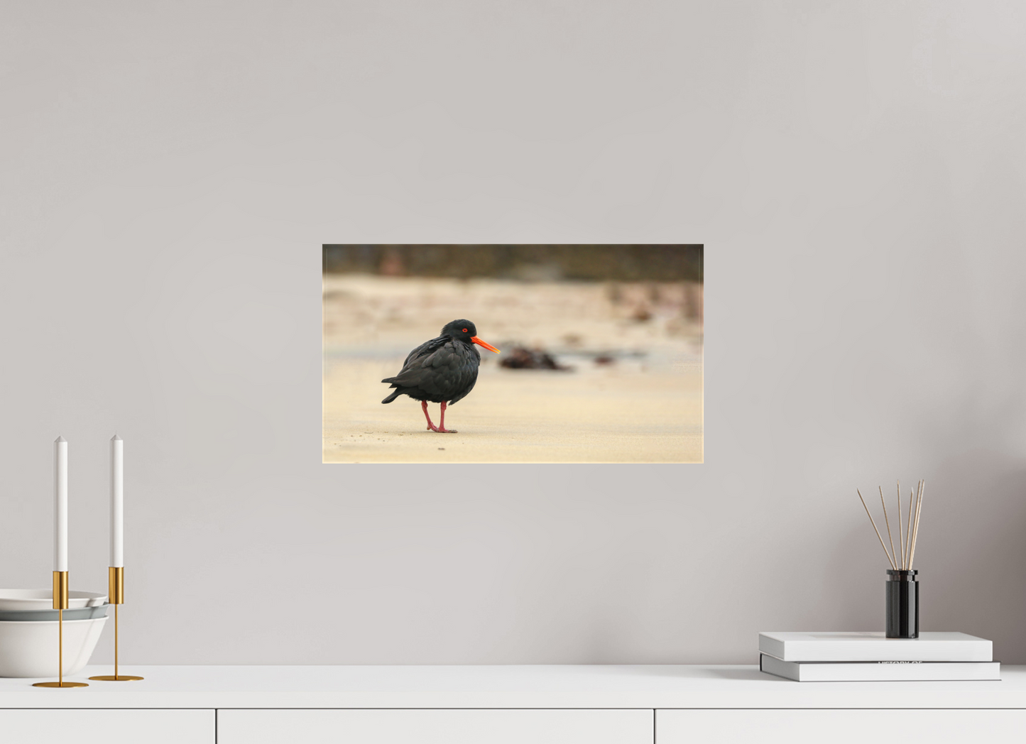 Beach Cruising Oyster Catcher