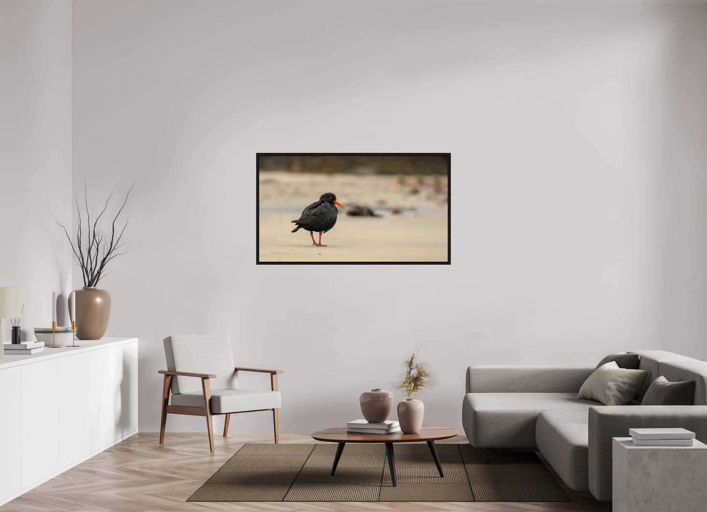 Beach Cruising Oyster Catcher