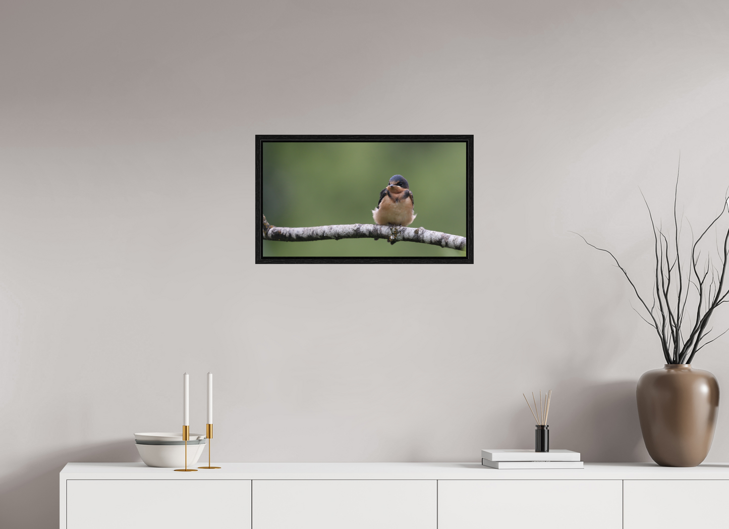 Resting Barn Swallow