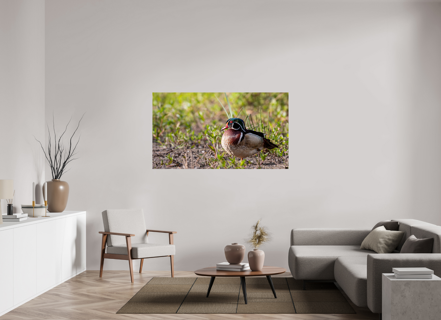 Balancing Wood Duck