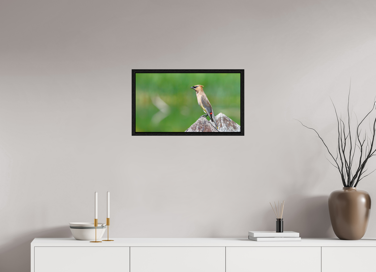 Cedar Waxwing Lookout