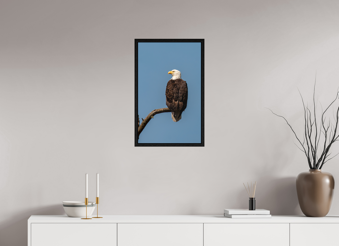 Bald Eagle Portrait