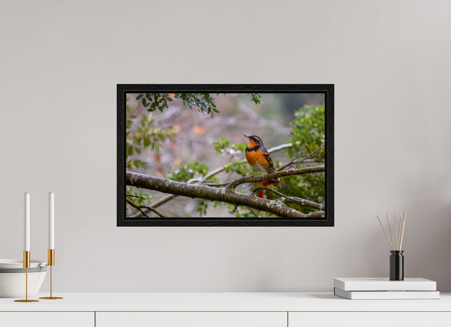 Brilliant Varied Thrush