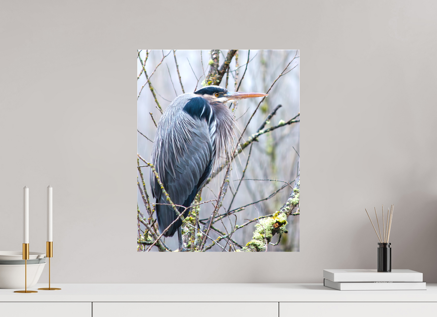 Rainy Great Blue Heron
