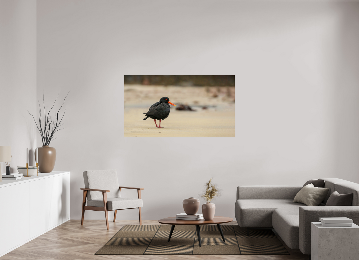 Beach Cruising Oyster Catcher