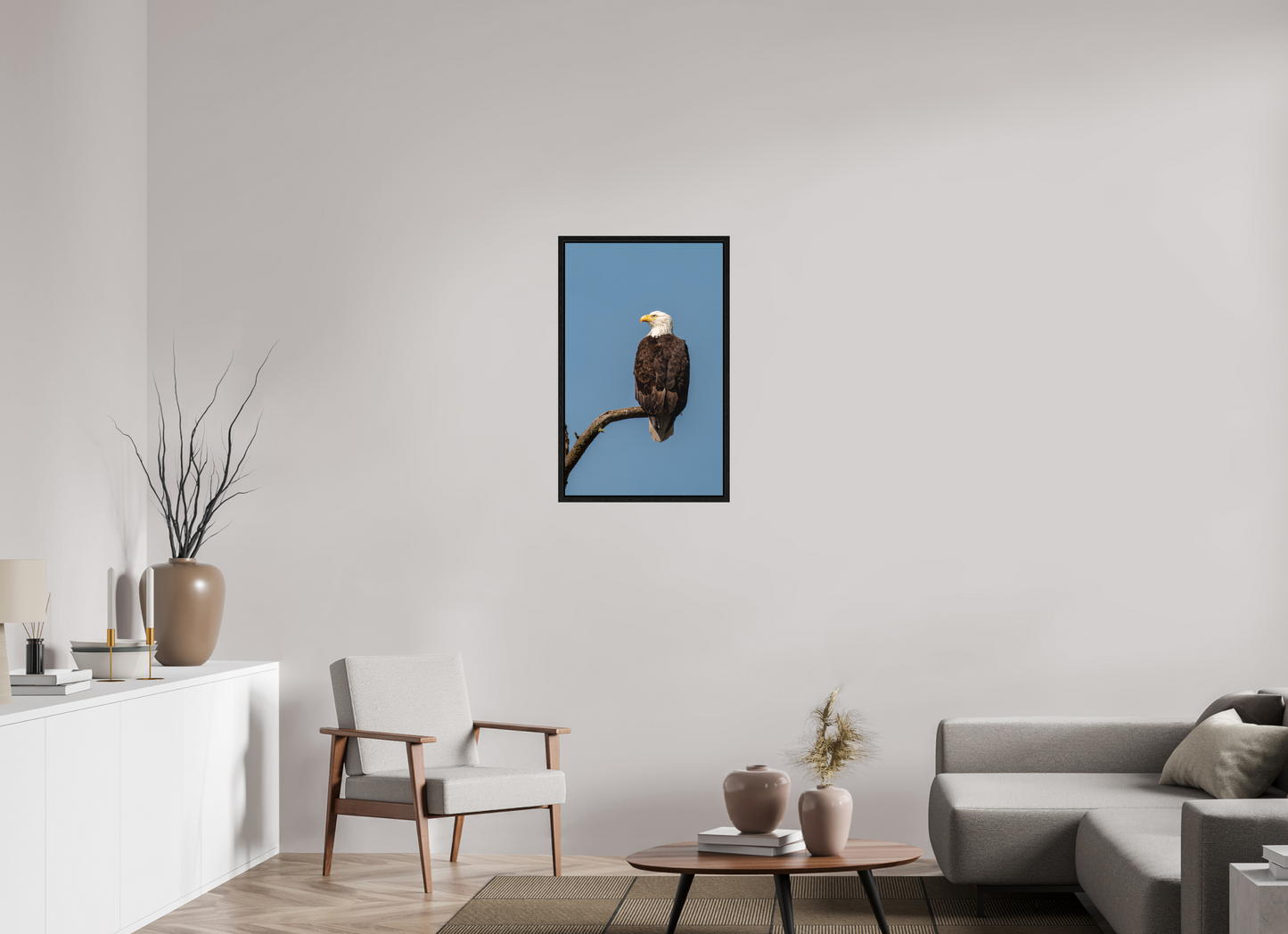 Bald Eagle Portrait