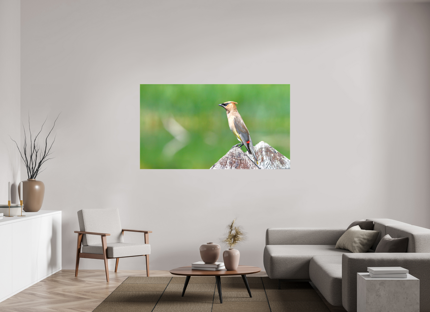 Cedar Waxwing Lookout