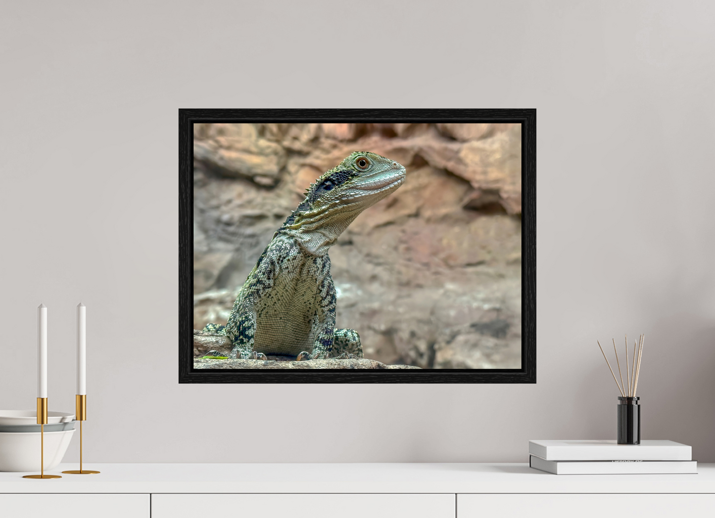 Water Dragon on Proud Rock