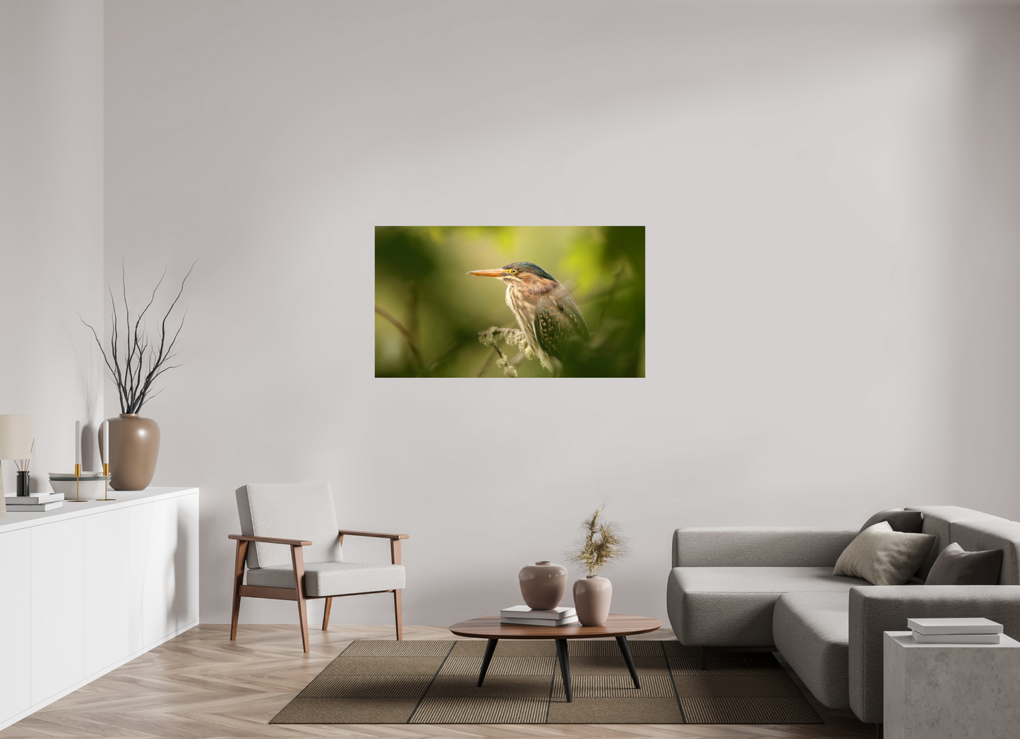 Green Heron Profile