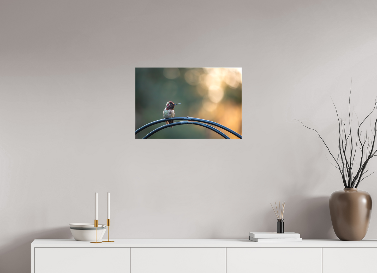 Sunspot Hummingbird