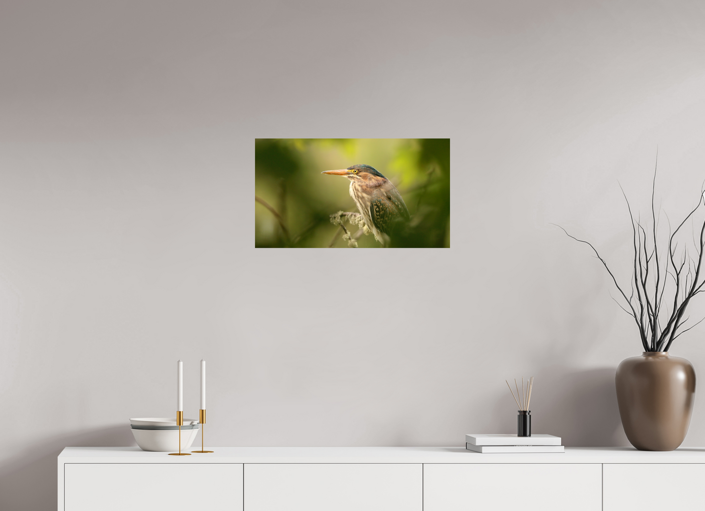 Green Heron Profile