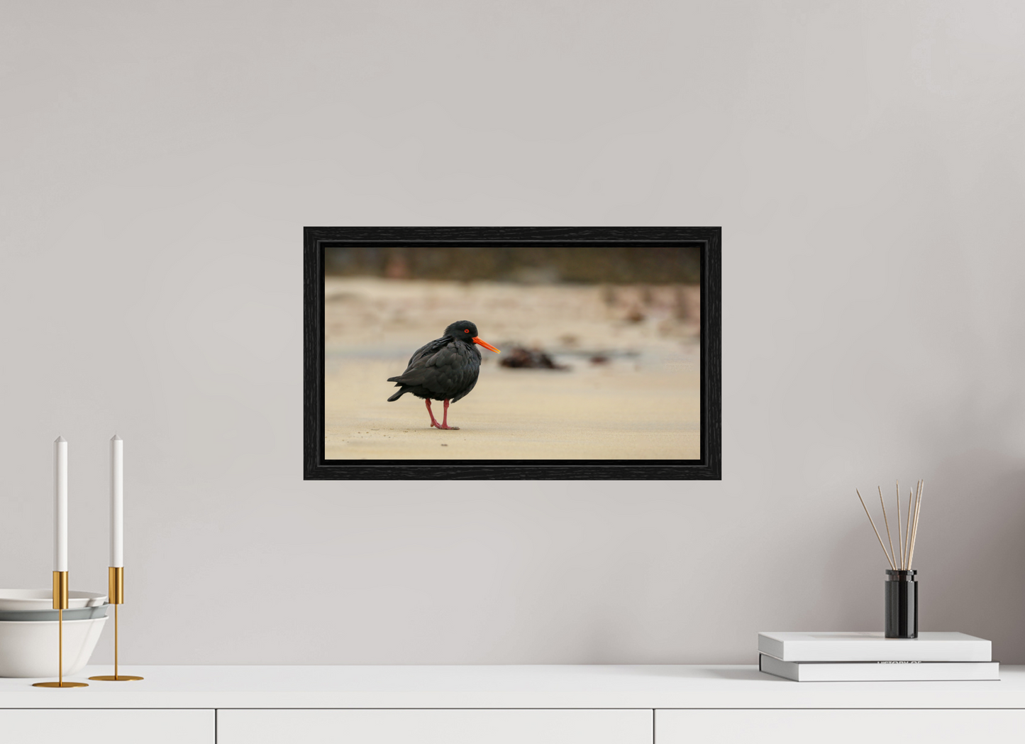 Beach Cruising Oyster Catcher