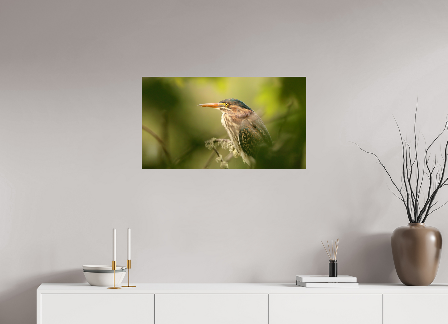 Green Heron Profile