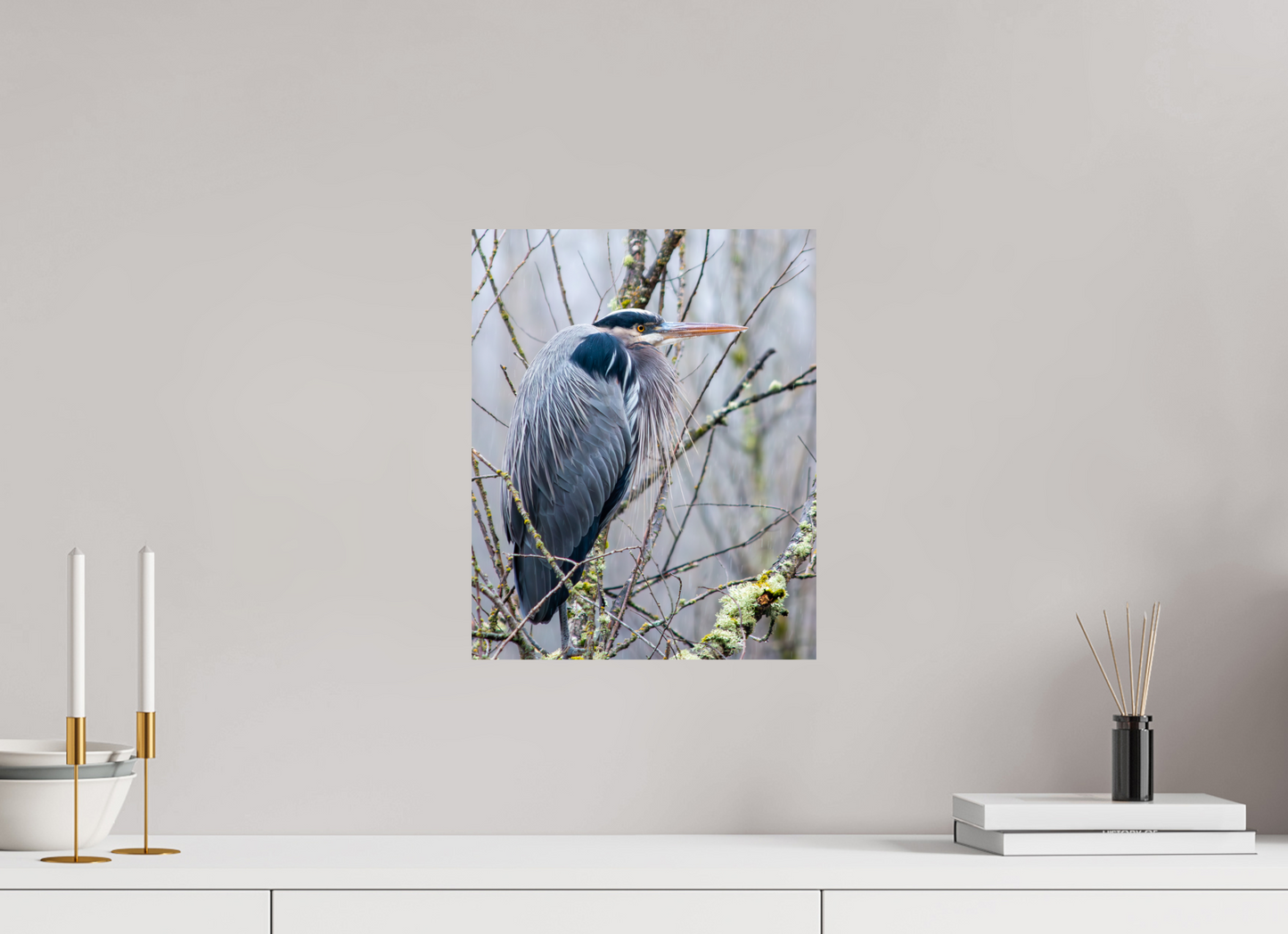 Rainy Great Blue Heron