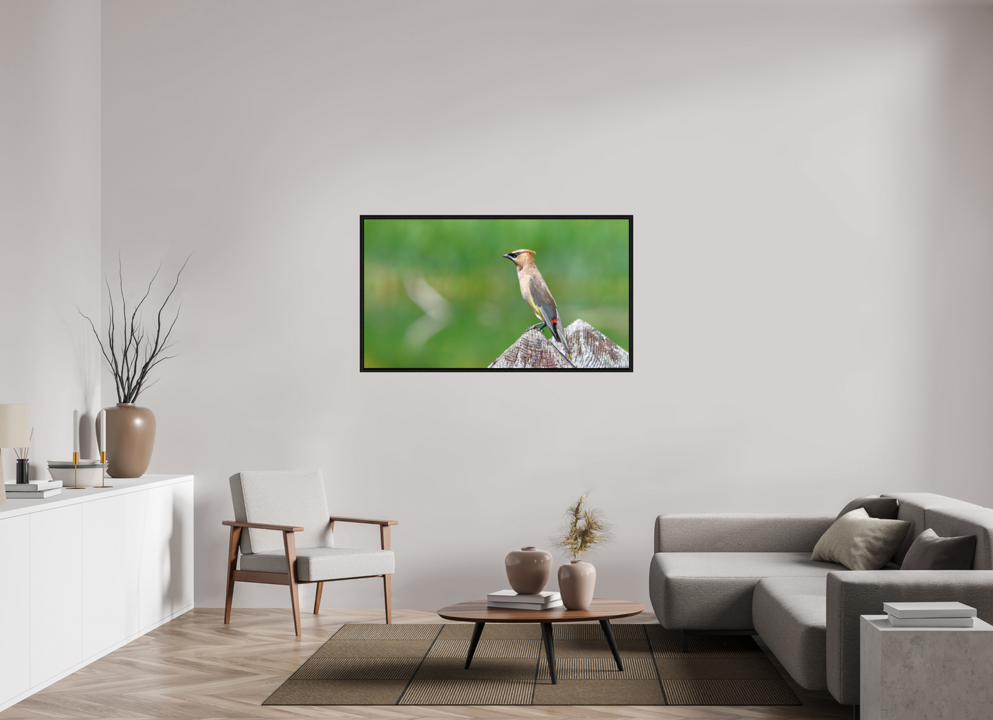 Cedar Waxwing Lookout