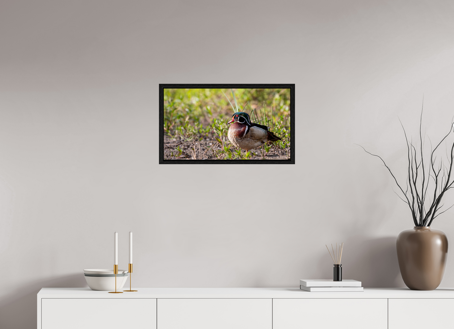 Balancing Wood Duck