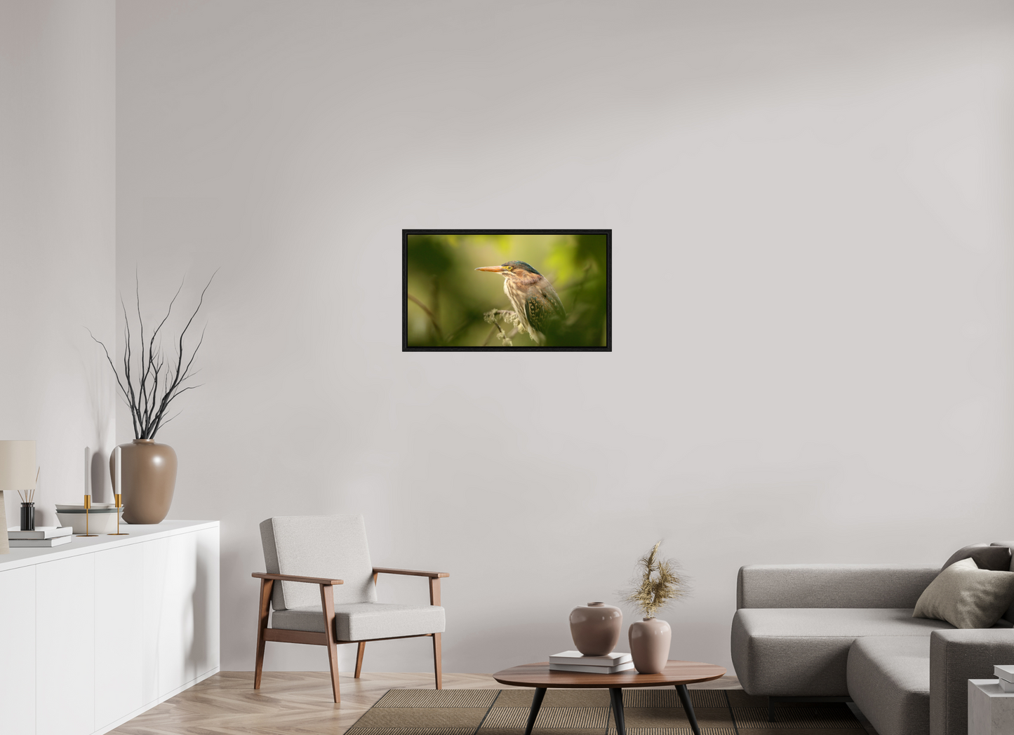 Green Heron Profile