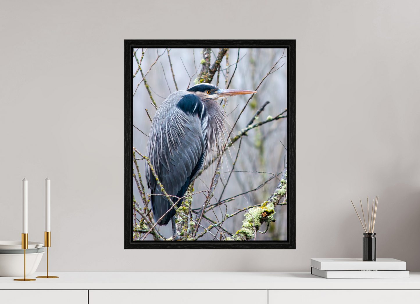 Rainy Great Blue Heron
