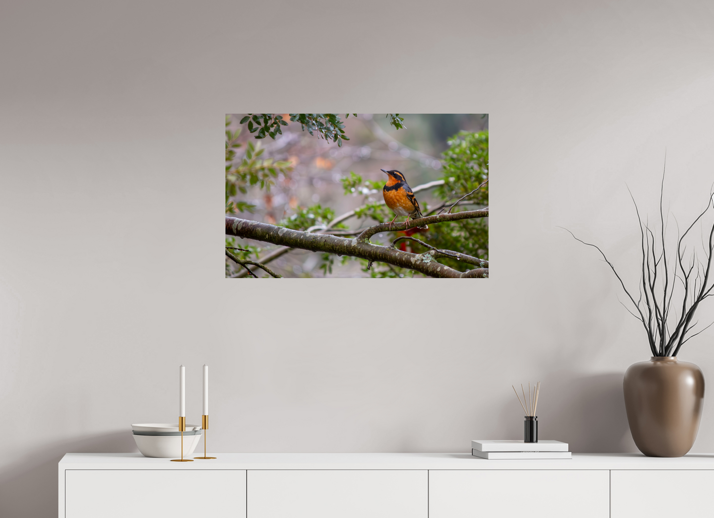 Brilliant Varied Thrush
