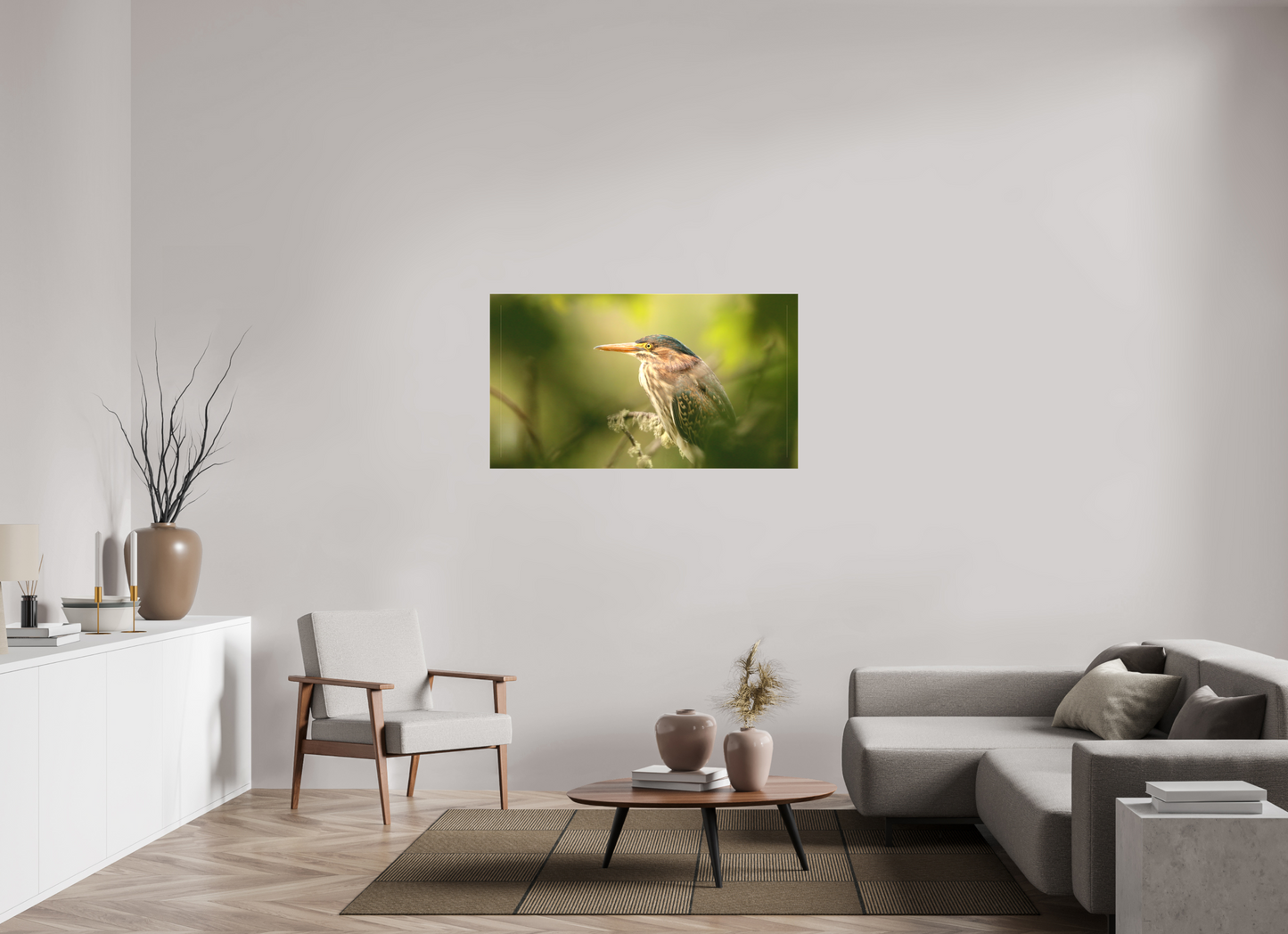 Green Heron Profile