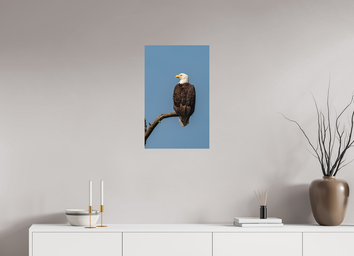 Bald Eagle Portrait