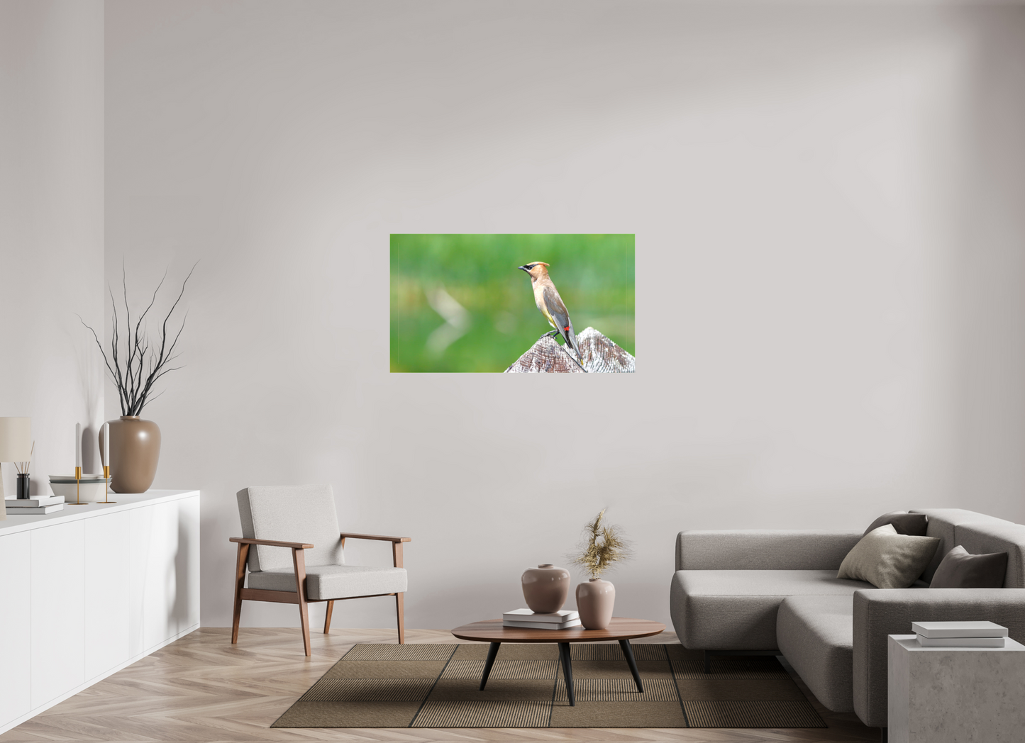 Cedar Waxwing Lookout