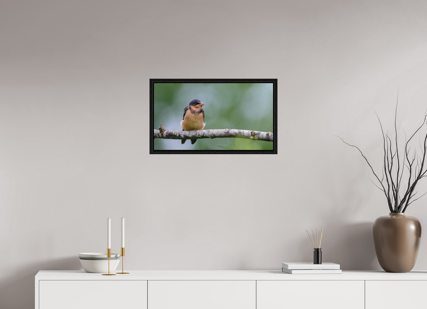 Observant Barn Swallow