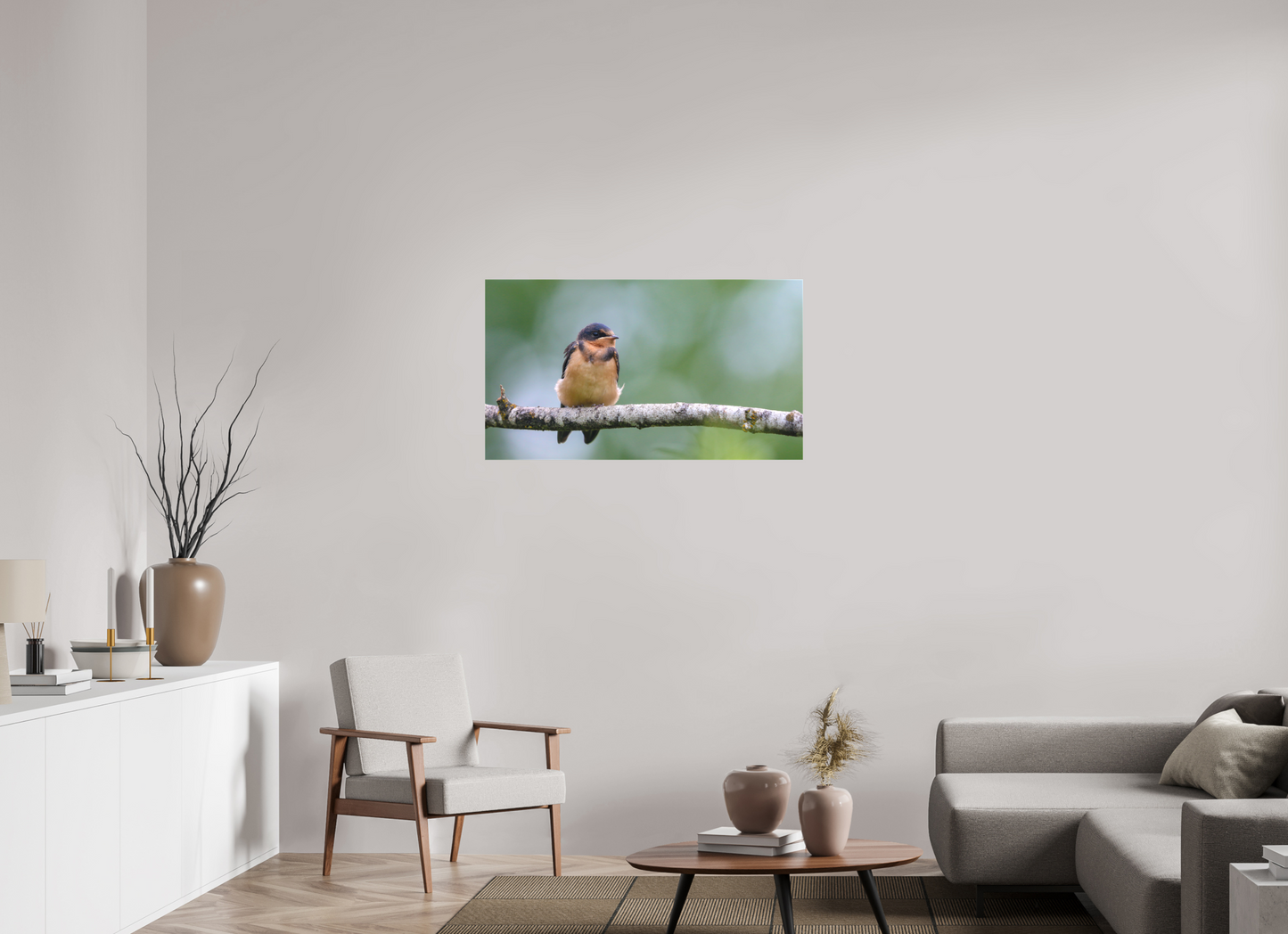 Observant Barn Swallow