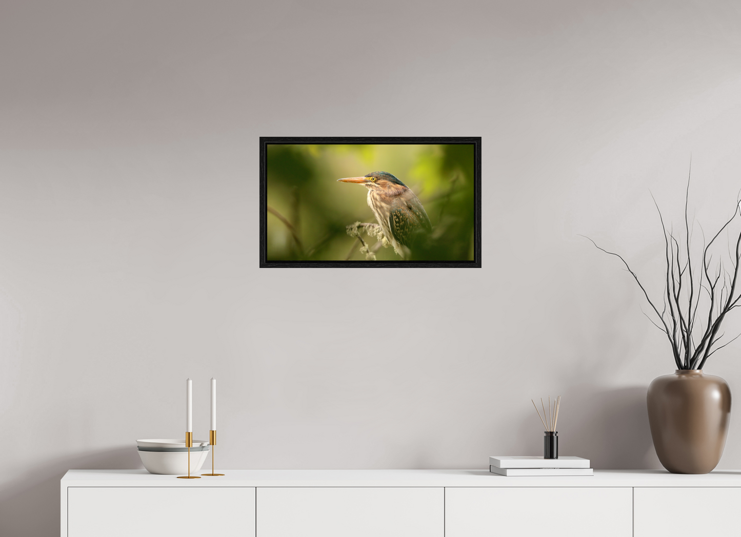 Green Heron Profile