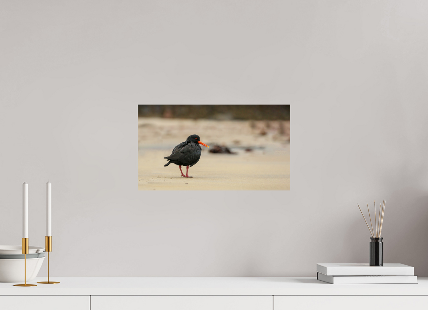 Beach Cruising Oyster Catcher