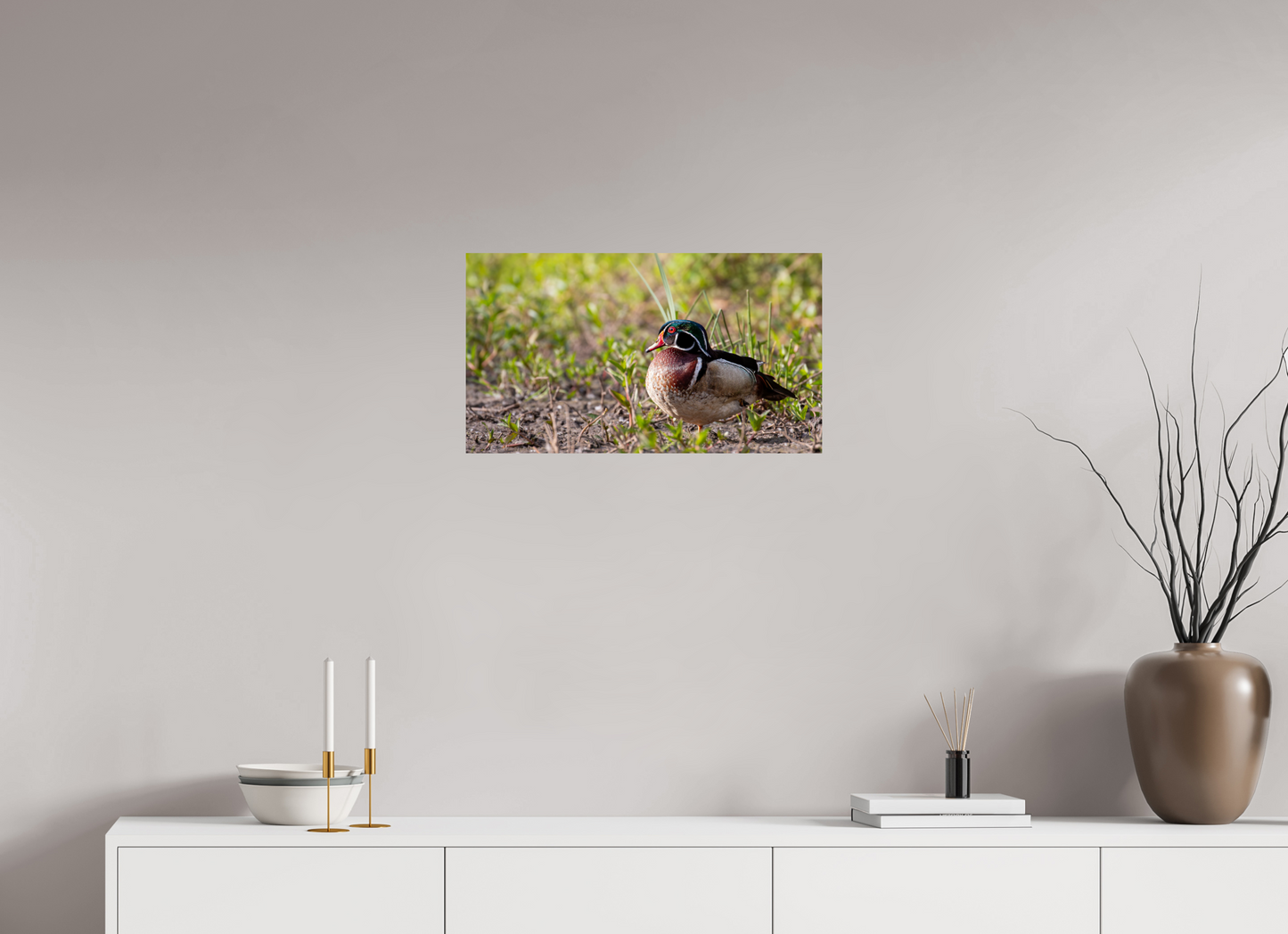 Balancing Wood Duck
