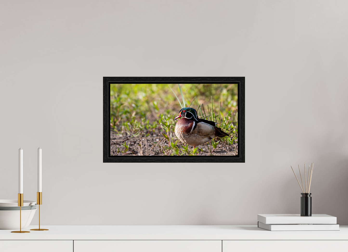 Balancing Wood Duck