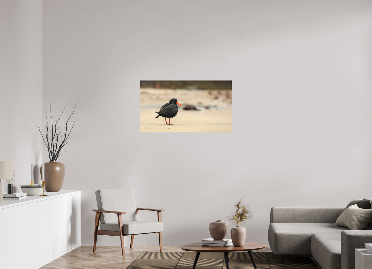Beach Cruising Oyster Catcher
