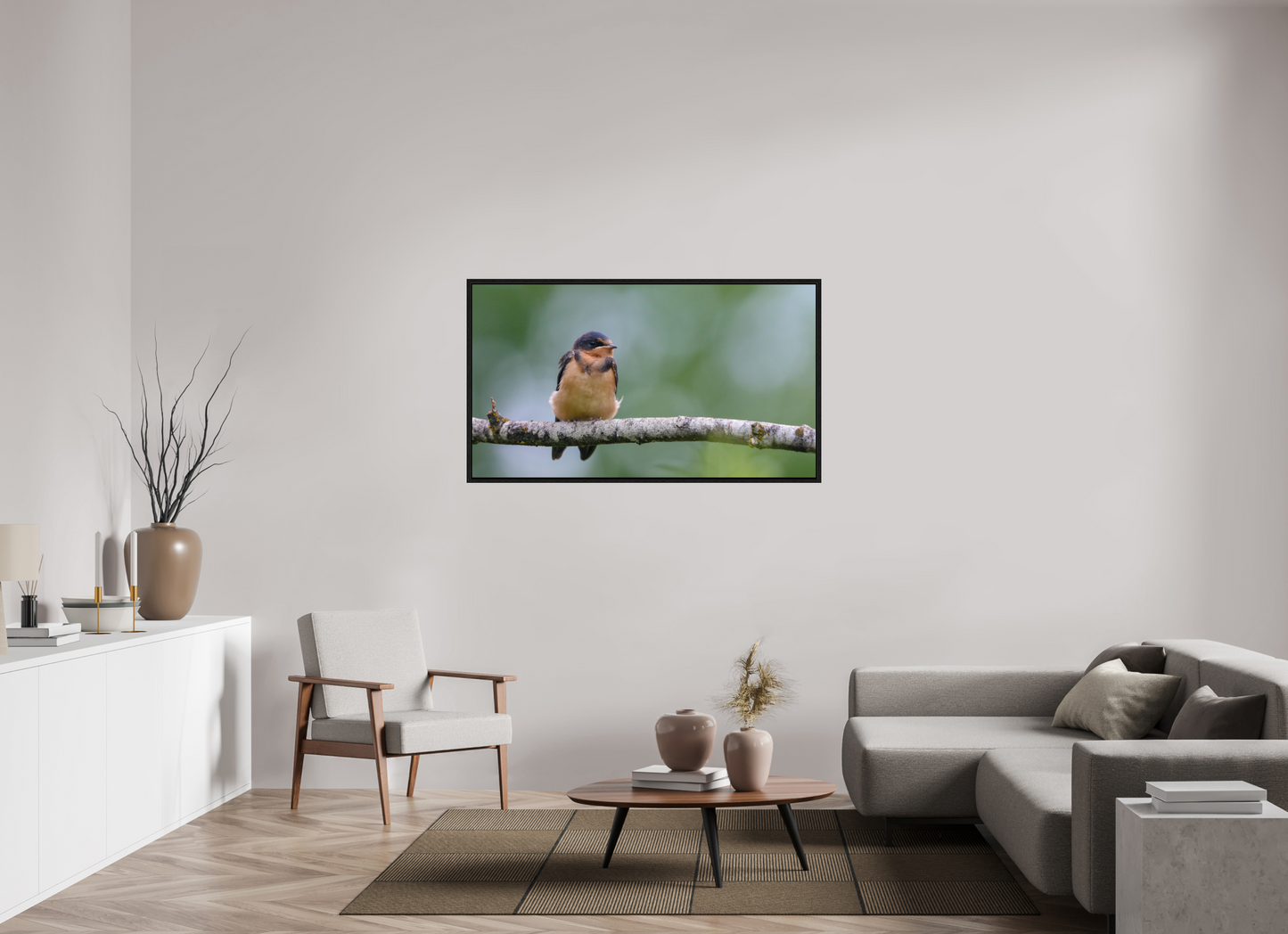 Observant Barn Swallow