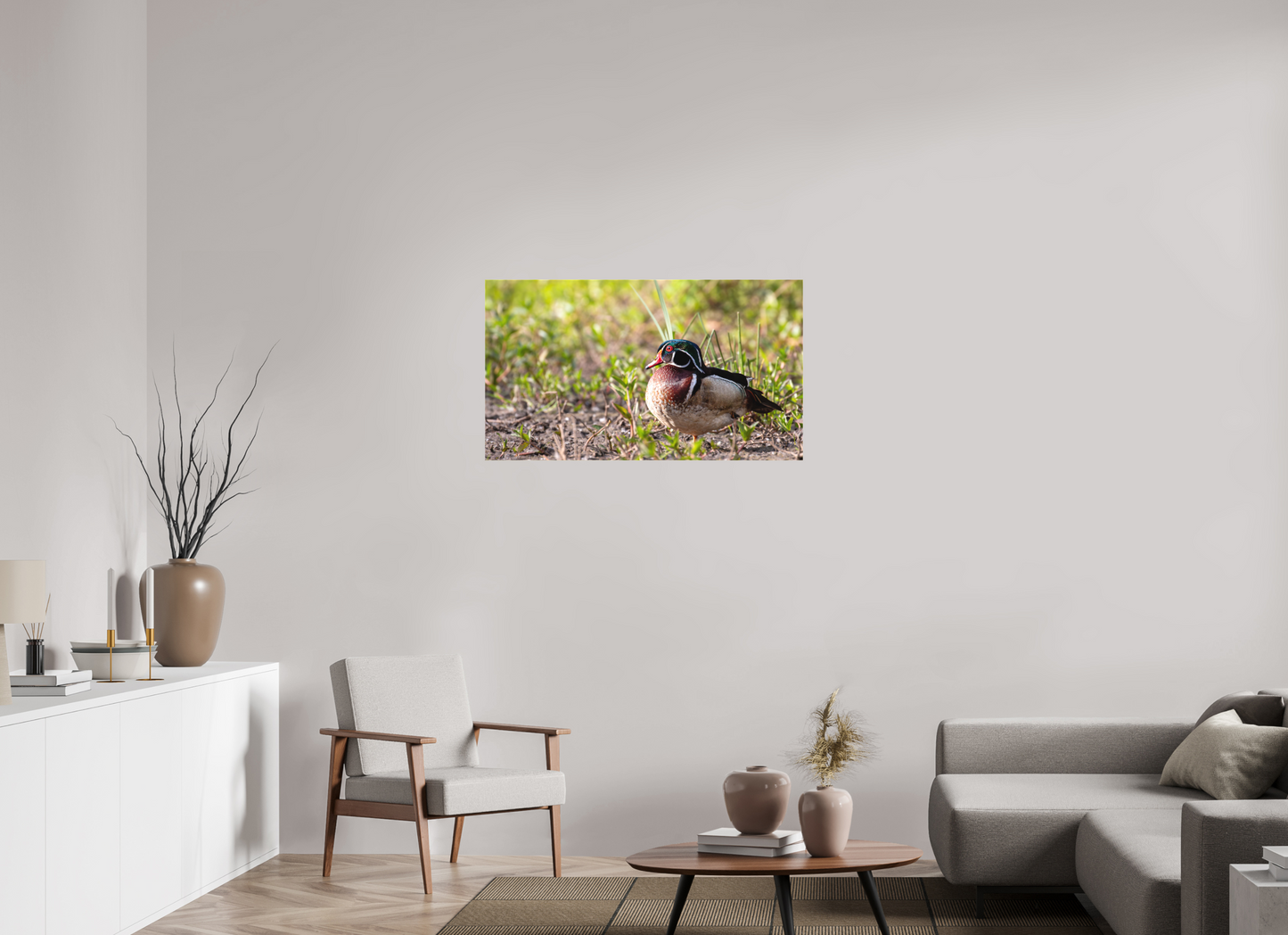 Balancing Wood Duck