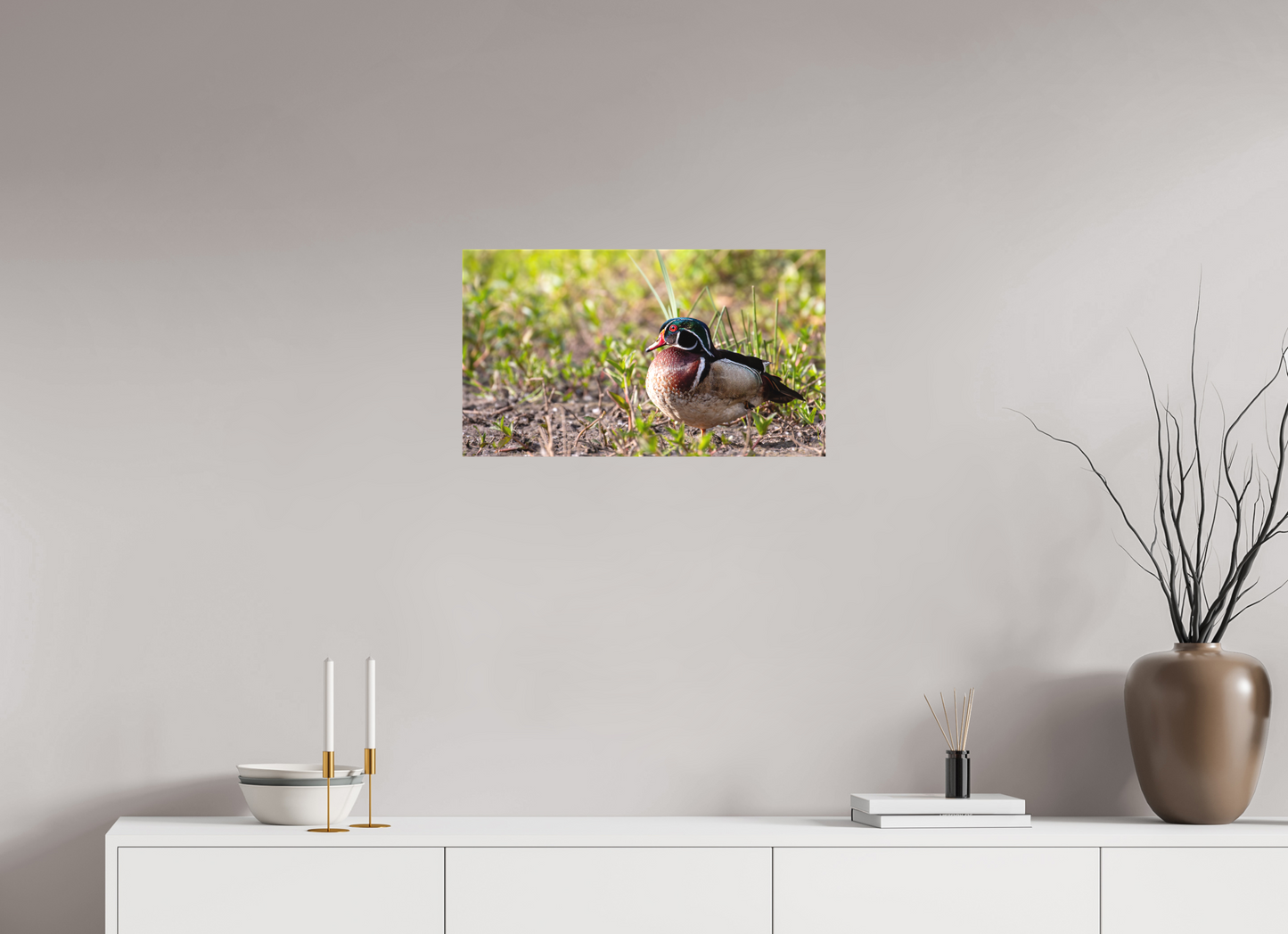 Balancing Wood Duck