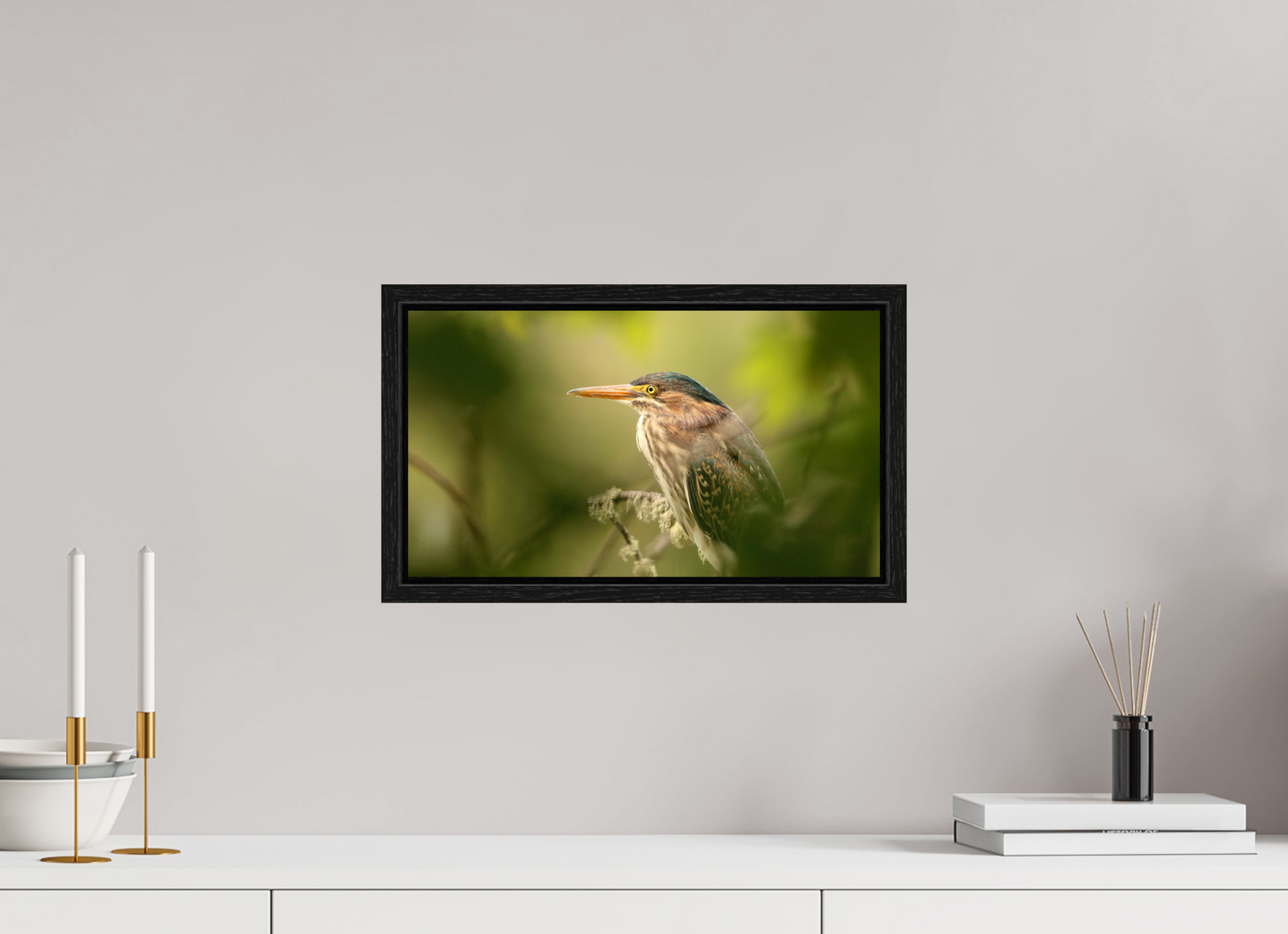 Green Heron Profile