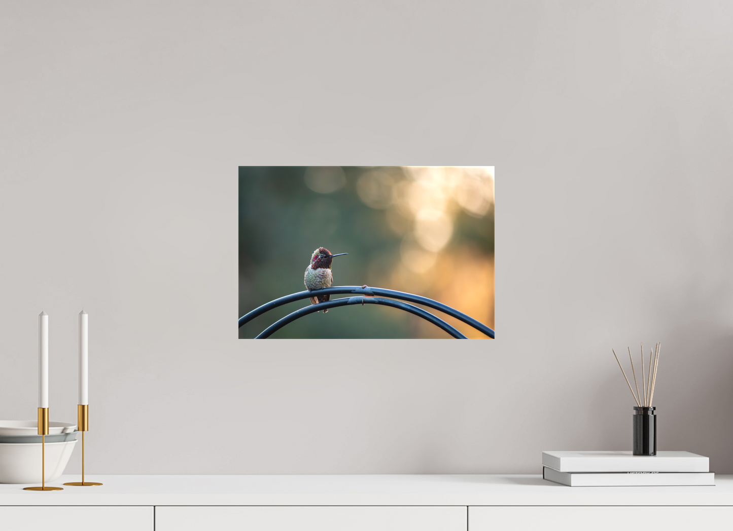 Sunspot Hummingbird