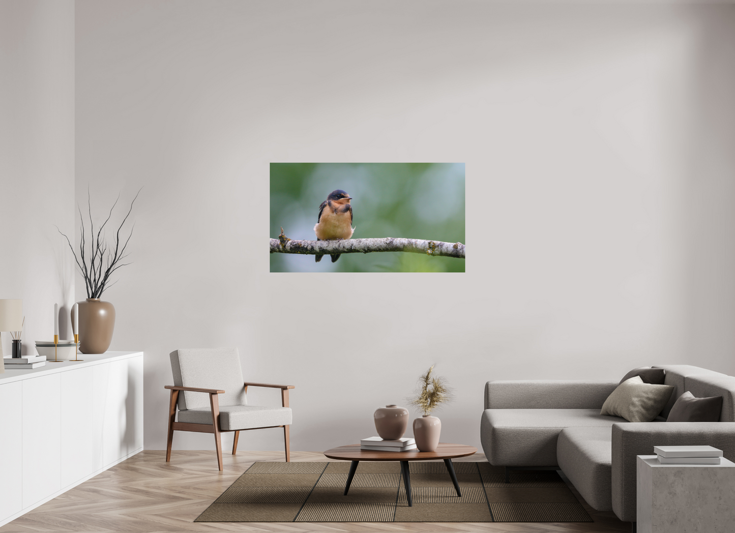 Observant Barn Swallow