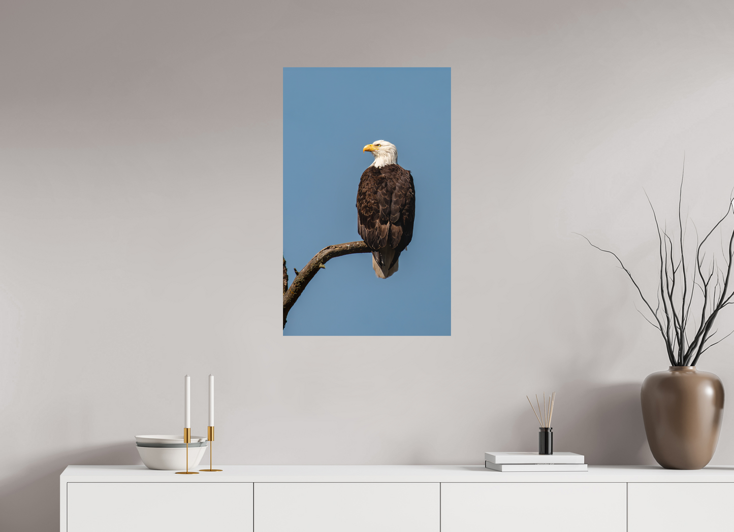 Bald Eagle Portrait