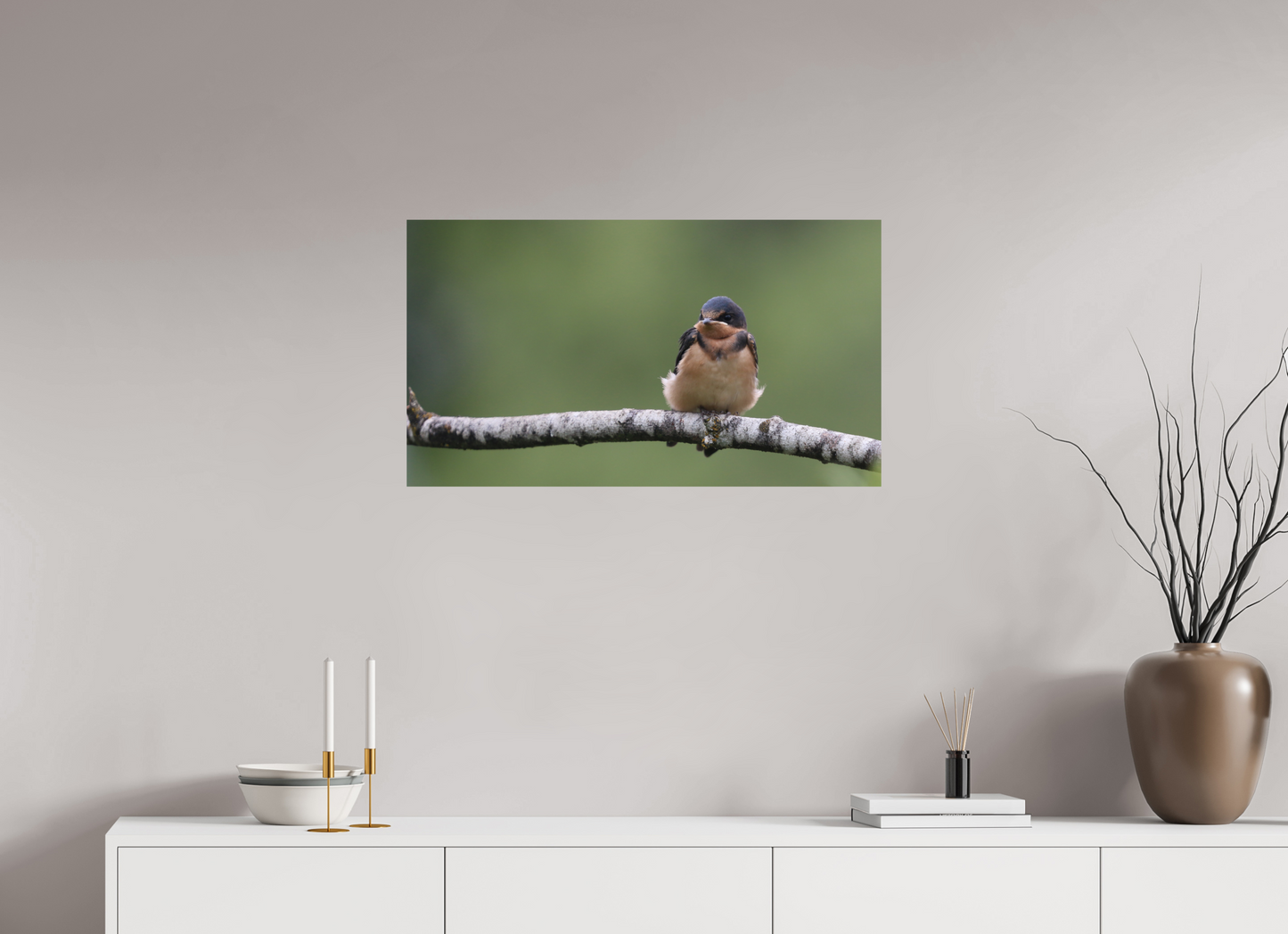 Resting Barn Swallow