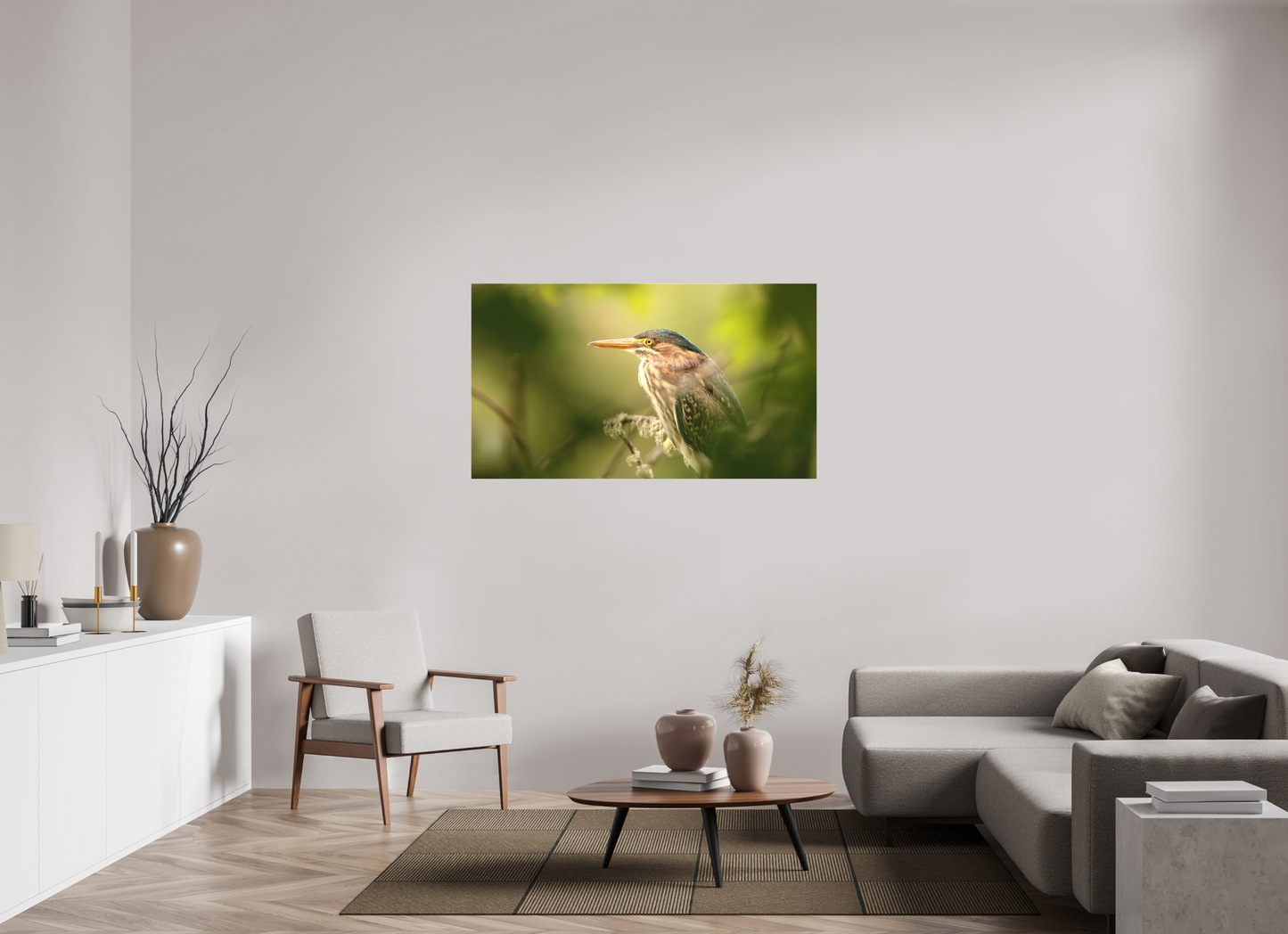 Green Heron Profile