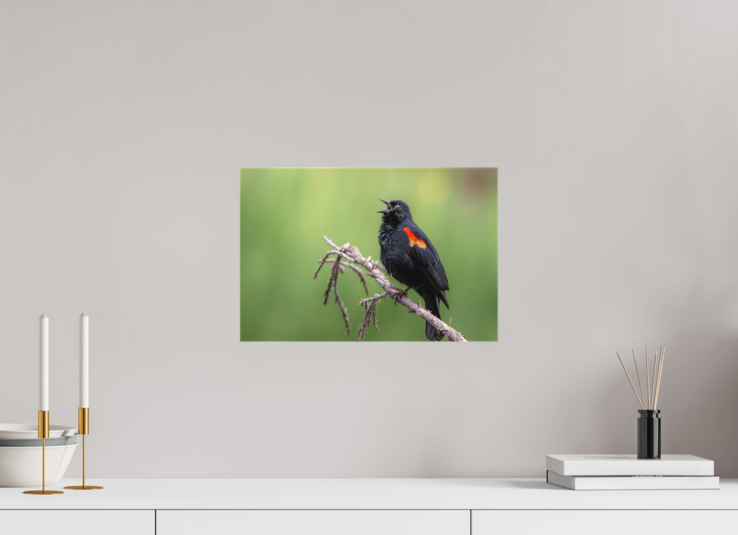 15 x 10″, Canvas Prints Perched Red Winged Blackbird