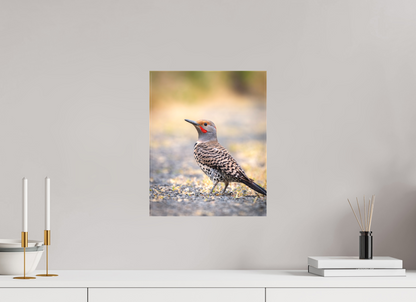 12 x 15″, Canvas Prints Remarkable Northern Flicker