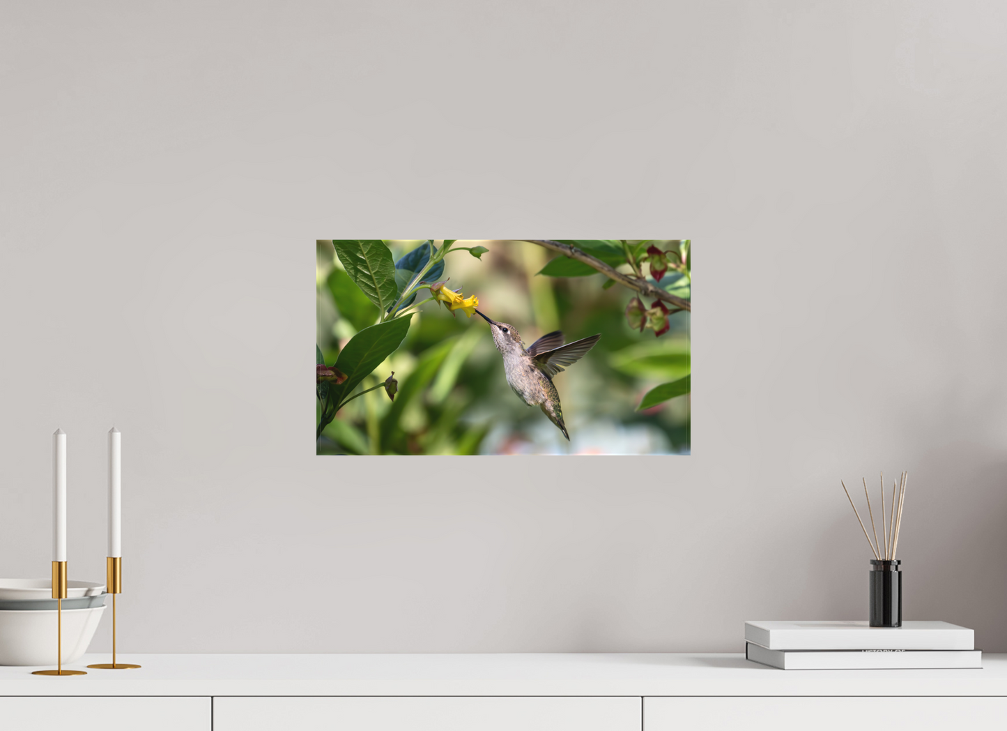 Nectar Hunting Hummingbird