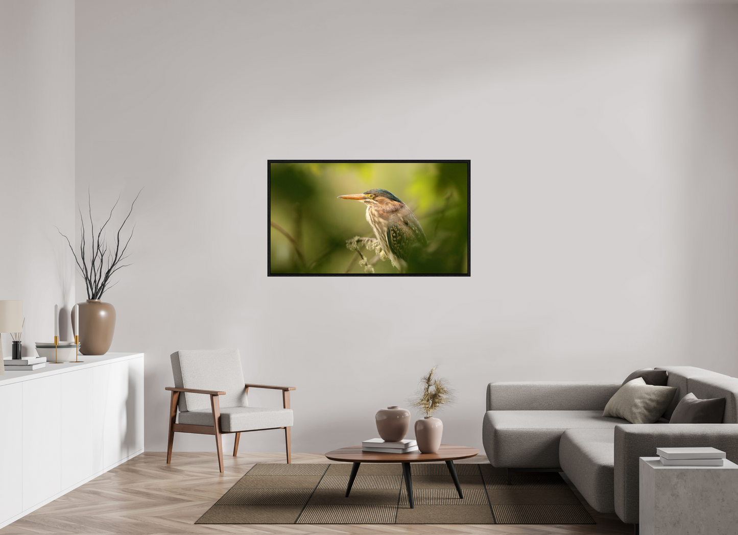 Green Heron Profile