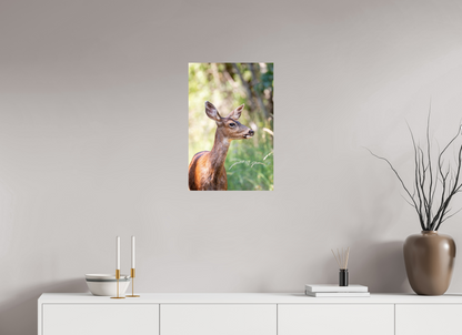 Foraging Deer
